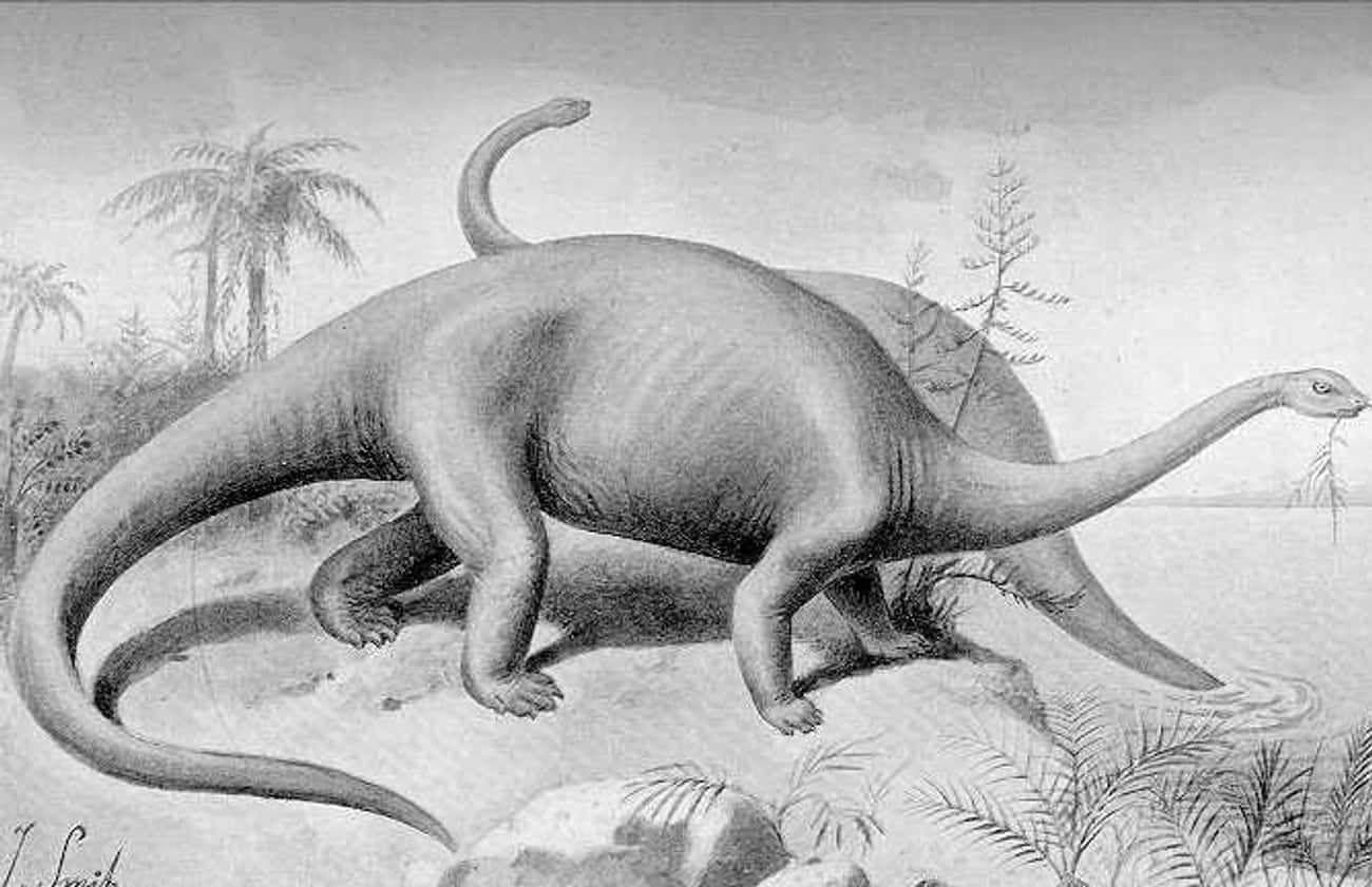 Facts About Prehistoric Times That Weren't In Our History Books