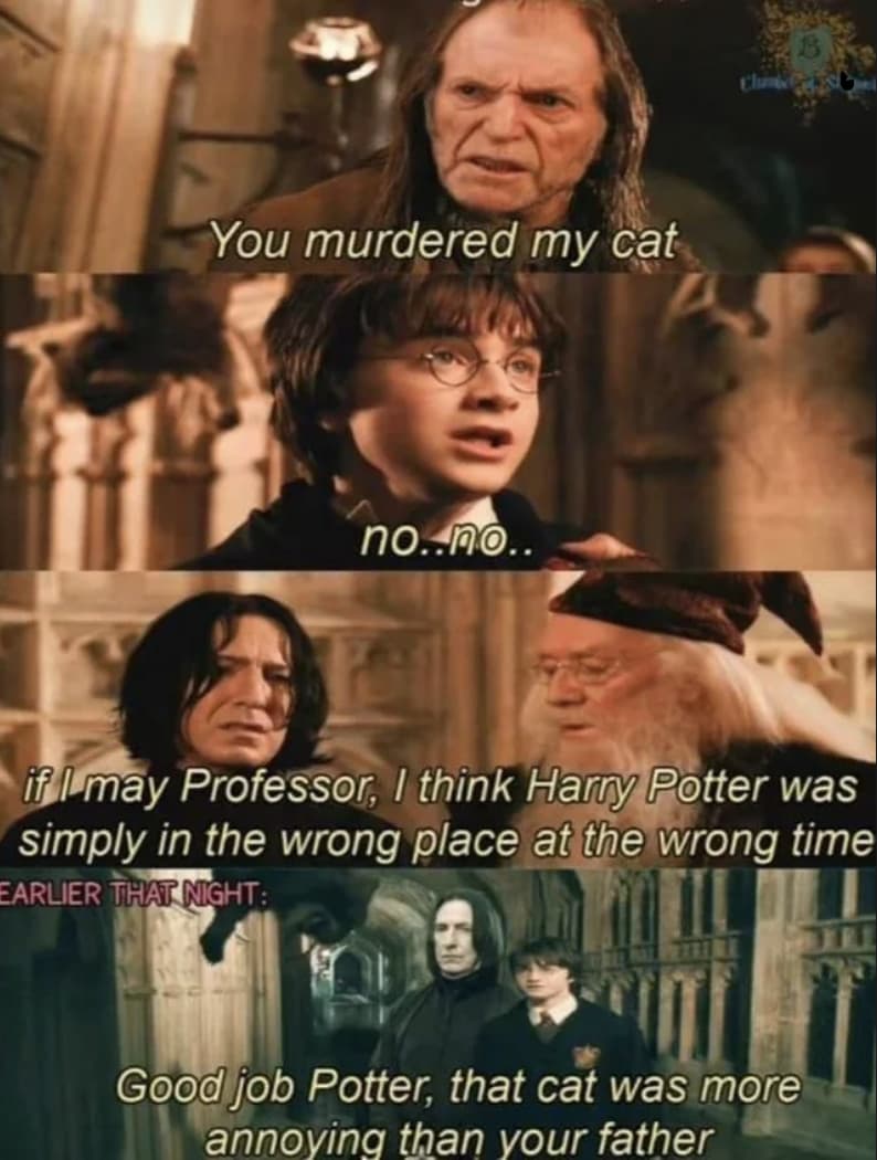 16 Funny 'Harry Potter' Memes That Feel Like The Blooper Reel We've