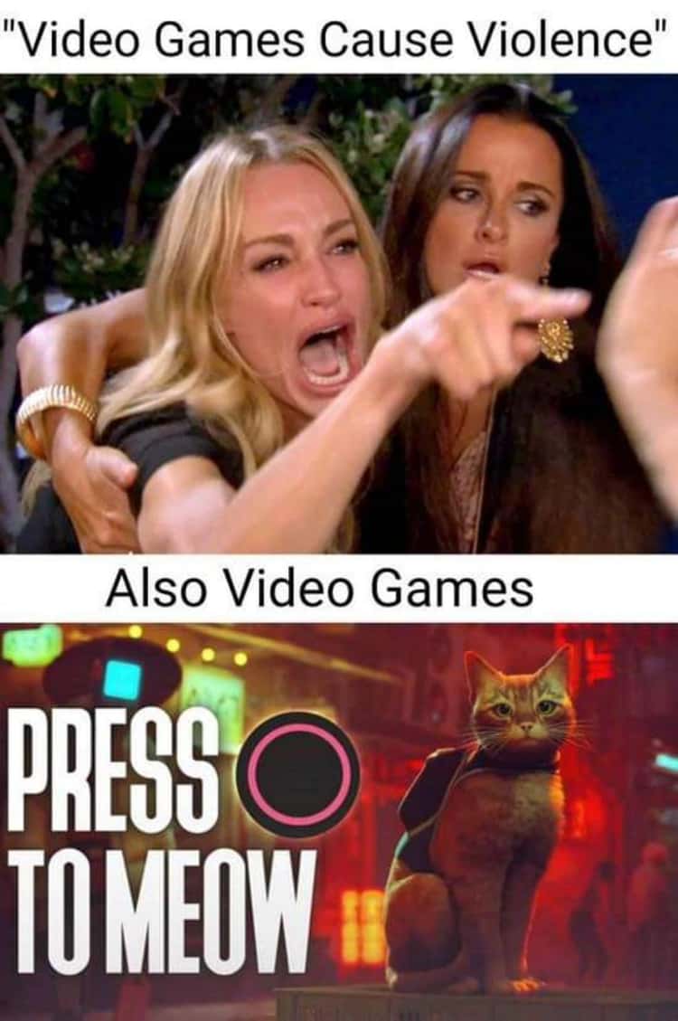 Video Games Meme