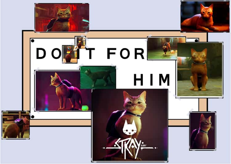 PS5 hit Stray is an overnight success built on over 20 years of cat memes