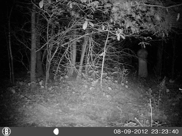 Призраки дело