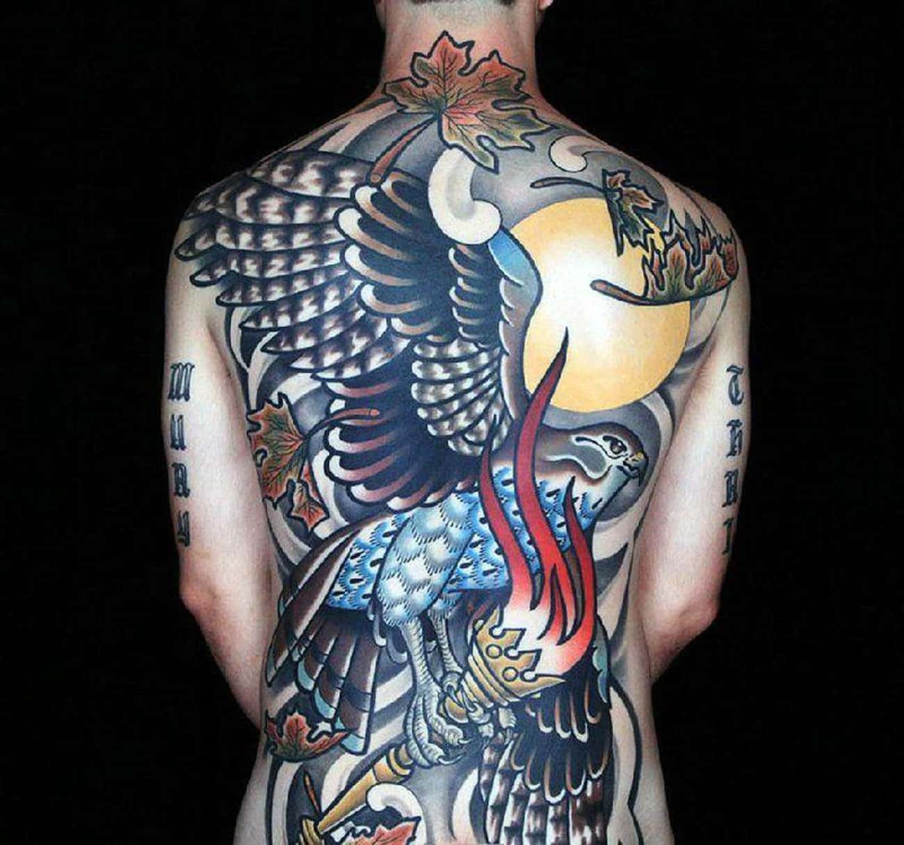 Full Color Neo-Traditional Falcon Back Piece