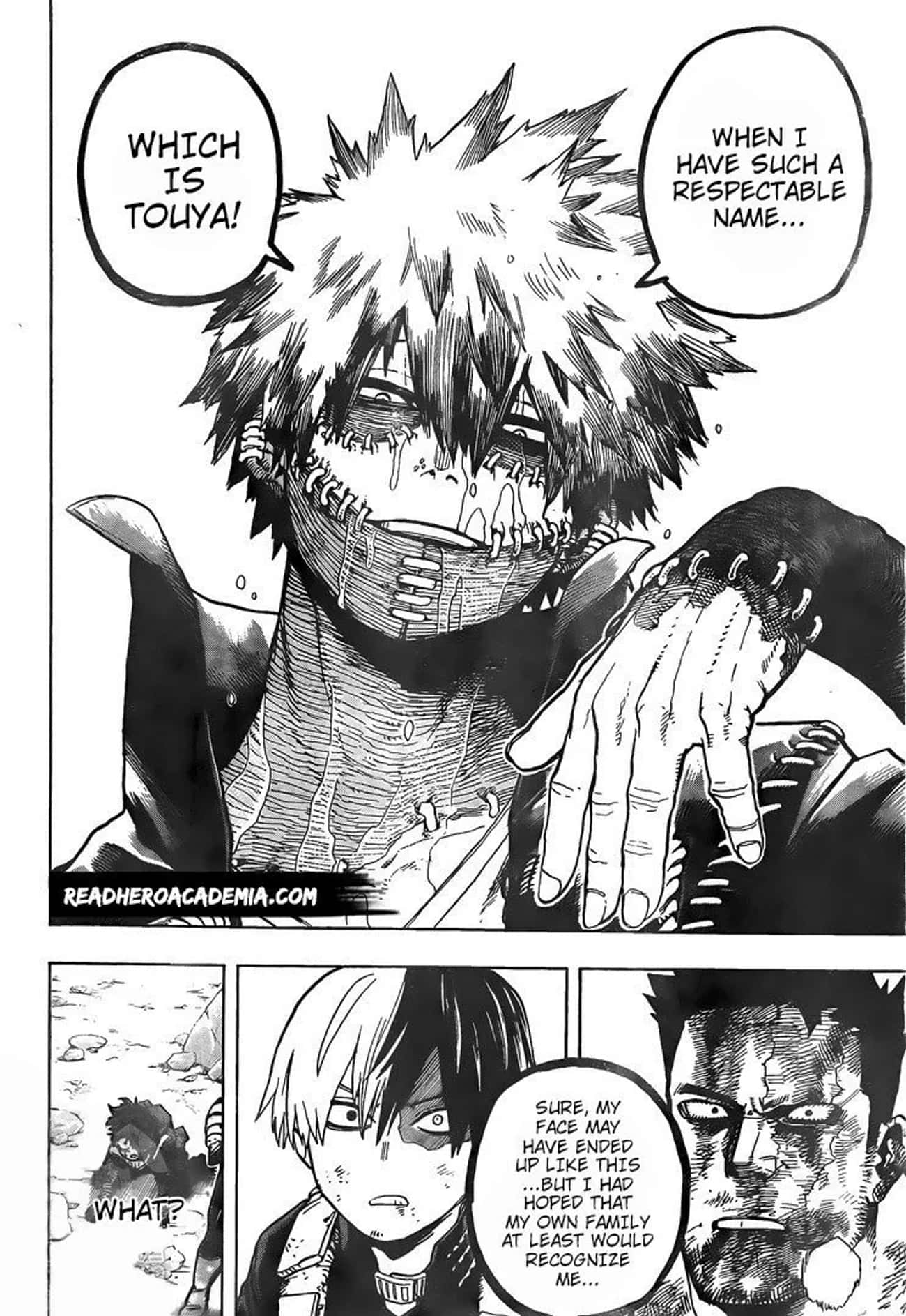 Dabi Is Shoto's Brother