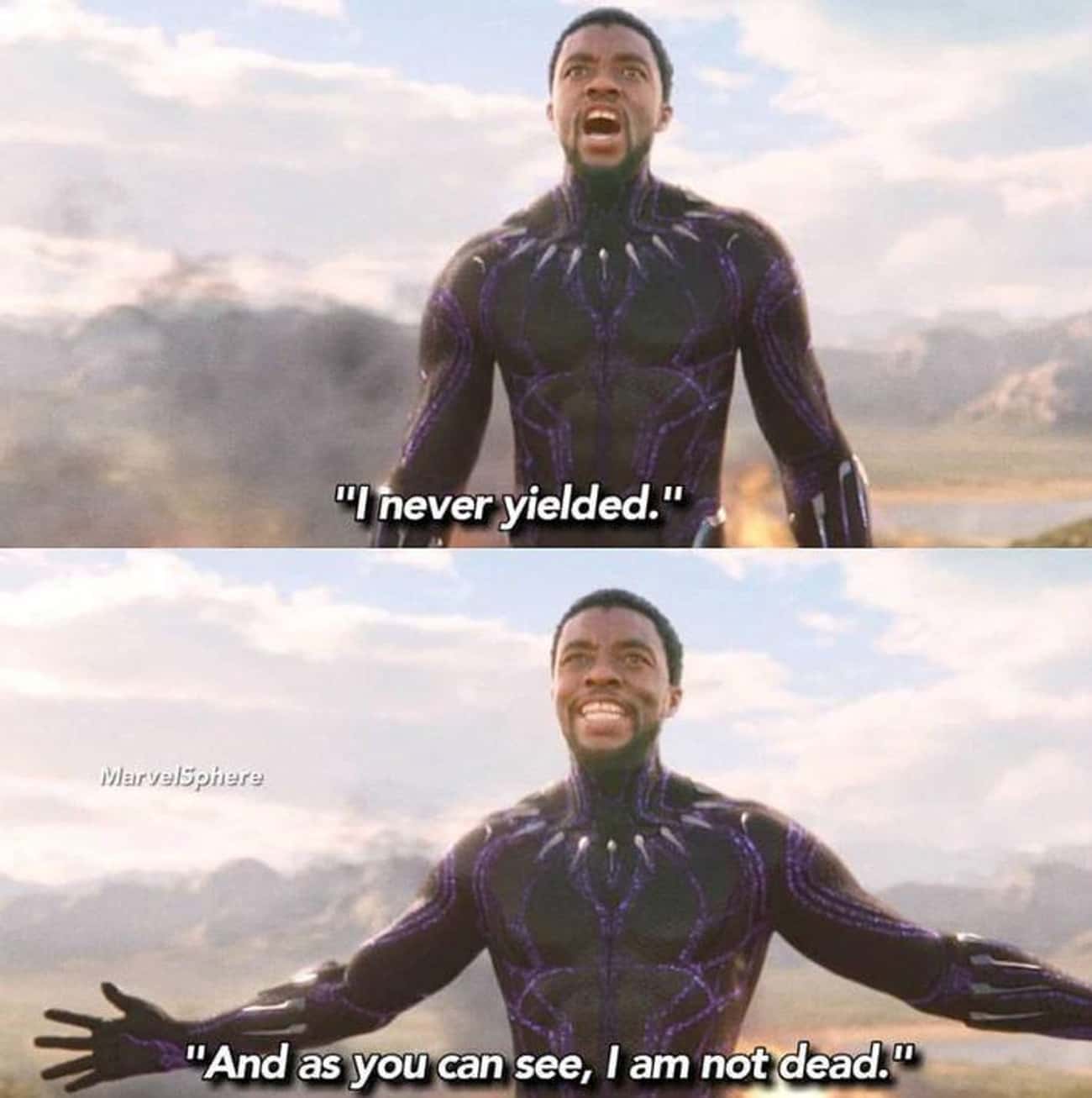 T'Challa In 'Black Panther'