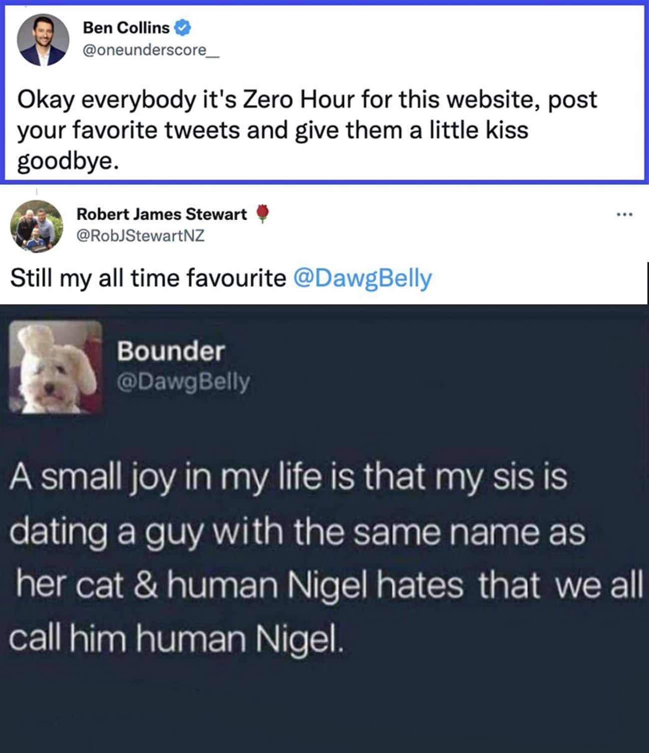 'Human Nigel'