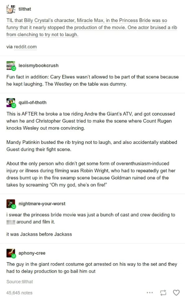 17 Posts About 'The Princess Bride' That Prove It’s Inconceivably Good