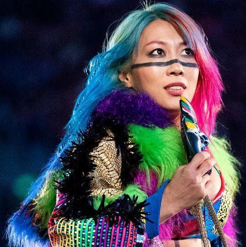 The 40 Most Beautiful Female Wrestlers Of 2024