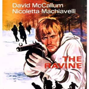 The Ravine 
