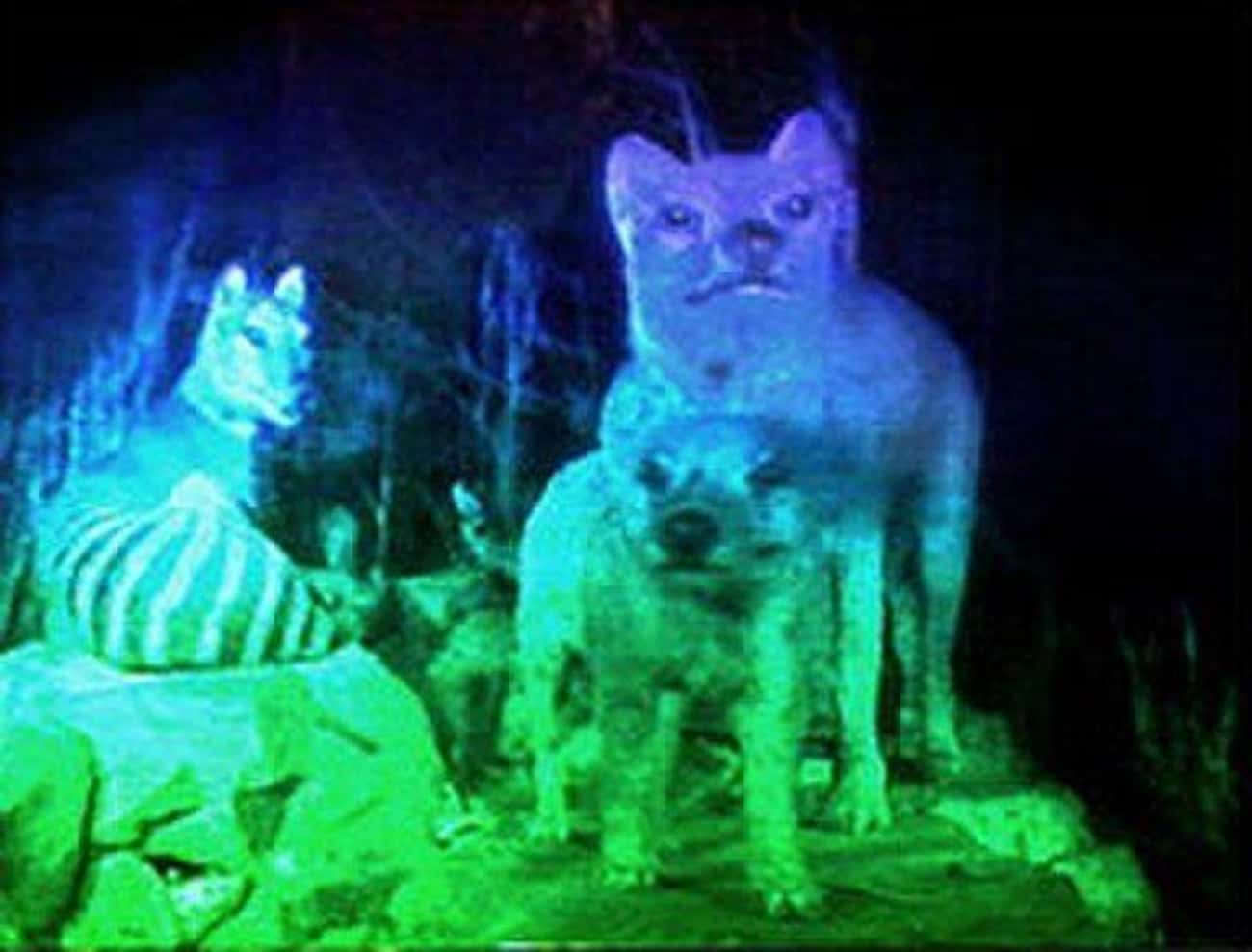 Holograms That Can Interact
