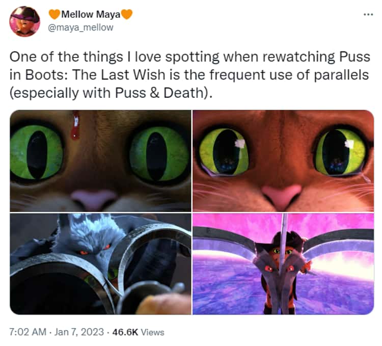 Pussnboots memes. Best Collection of funny Pussnboots pictures on
