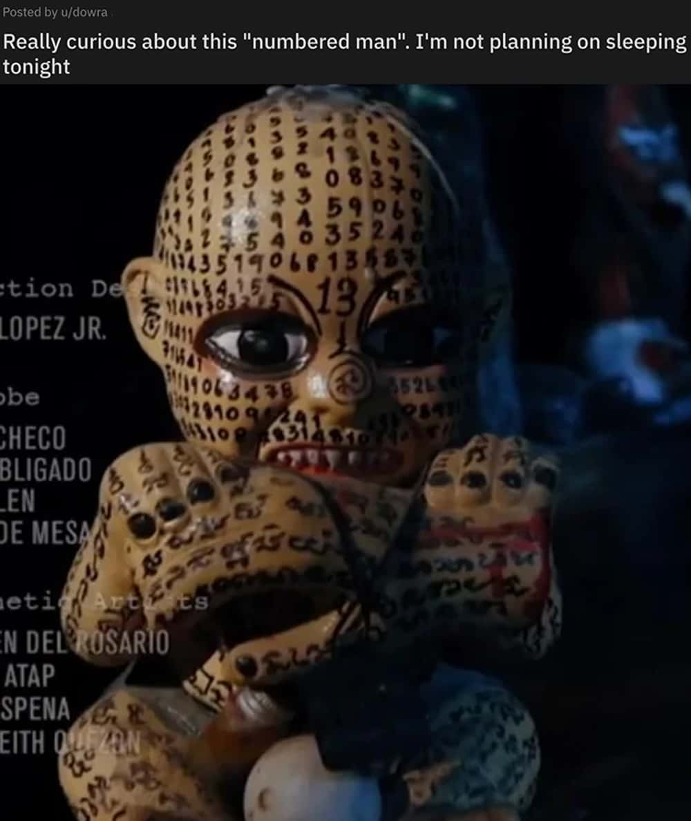 What Is This 'Numbered Man' Doll?
