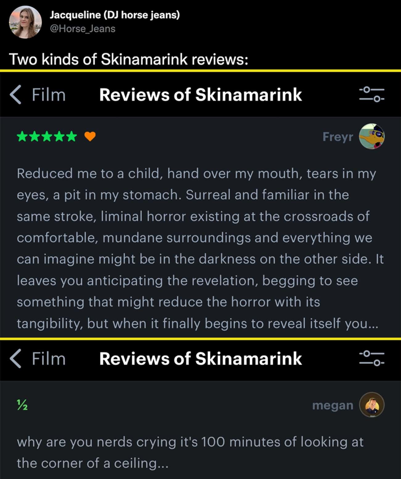 Two Kinds Of 'Skinamarink' Reviews