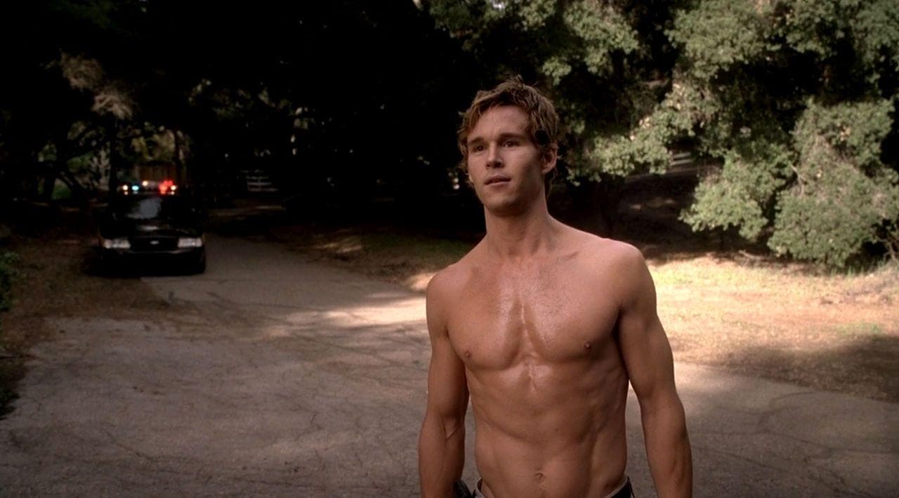 Interesting Fan Theories From Our Favorite Vampire Shows And Series
