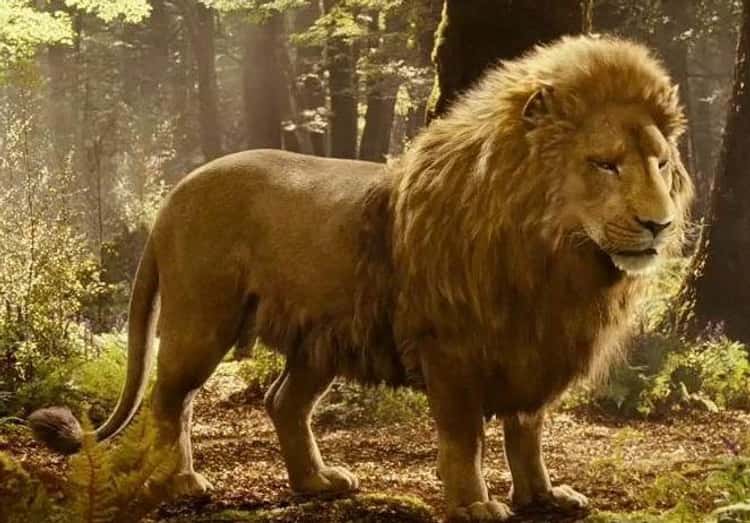 Is there any way that Aslan could survive The Deplorable Word if