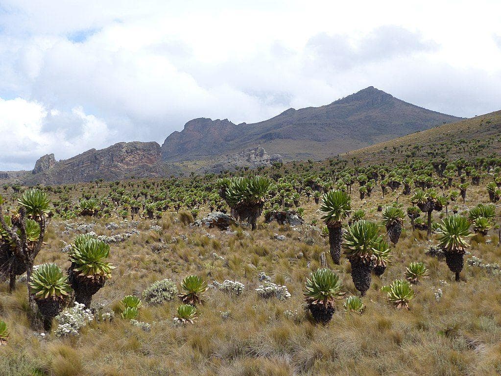 Kitum Cave Hides Among The Remnants Of An Extinct Volcano