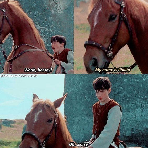 18-subtly-hilarious-moments-in-narnia-that-have-us-boarding-the-dawn
