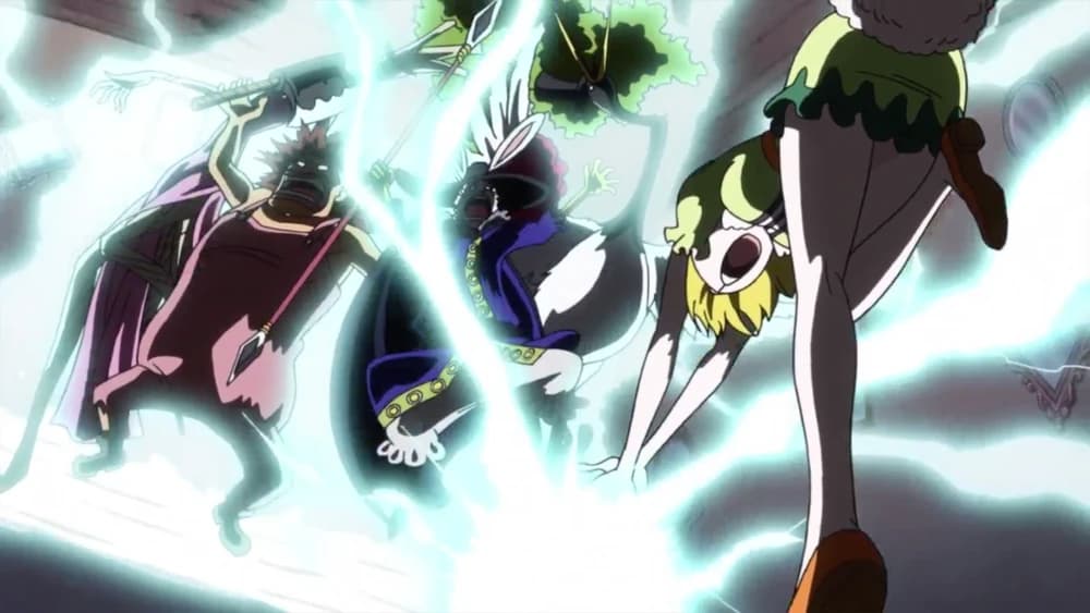 15 Things You Didn't Know About The Mink Tribe In 'One Piece'