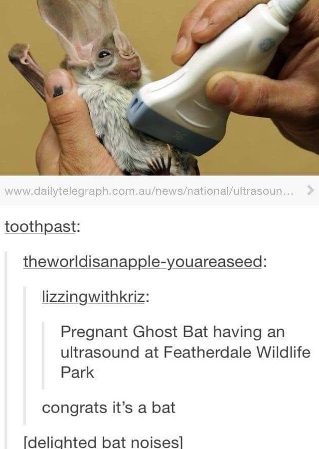 27 Cursed Posts And Twisted Tweets We Found That Made Us Smile In The ...