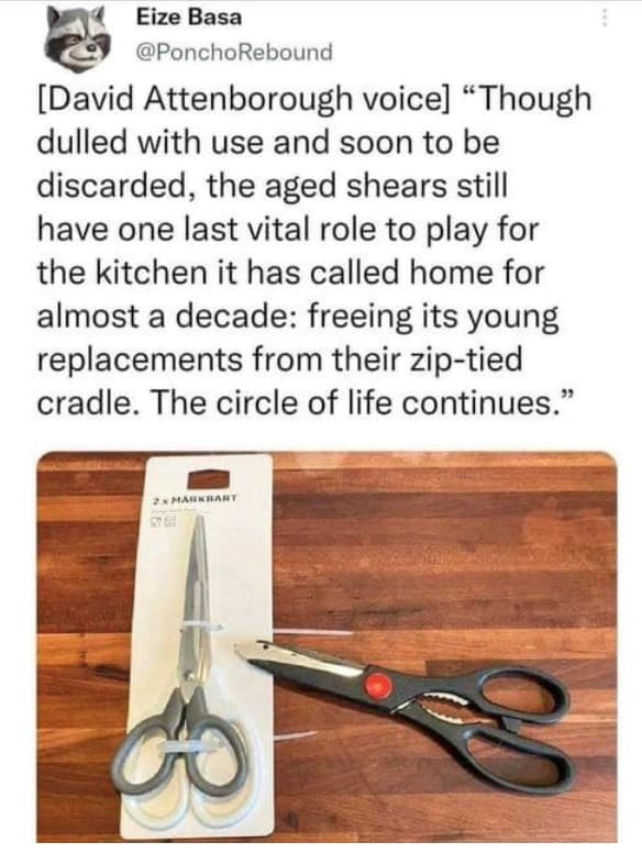 1002753570-photo-u-1896961163