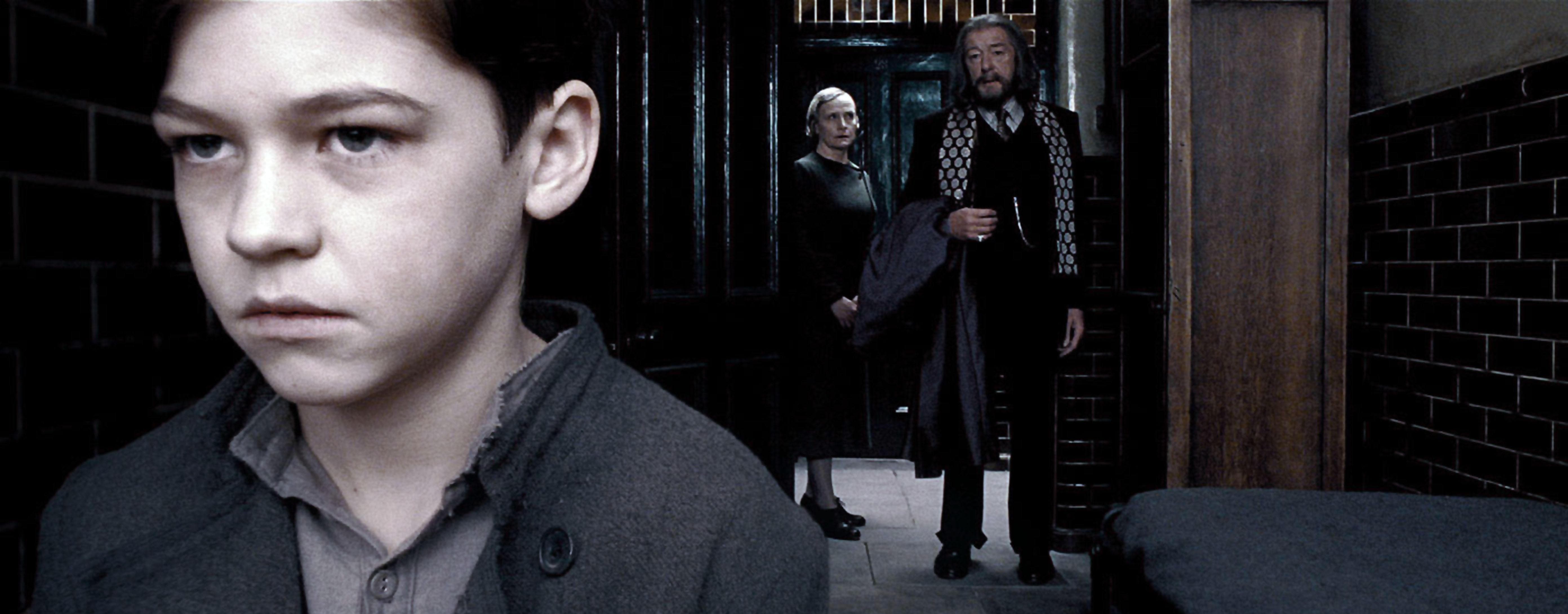 21 Popular 'Harry Potter' Fan Theories That Eventually Got Debunked