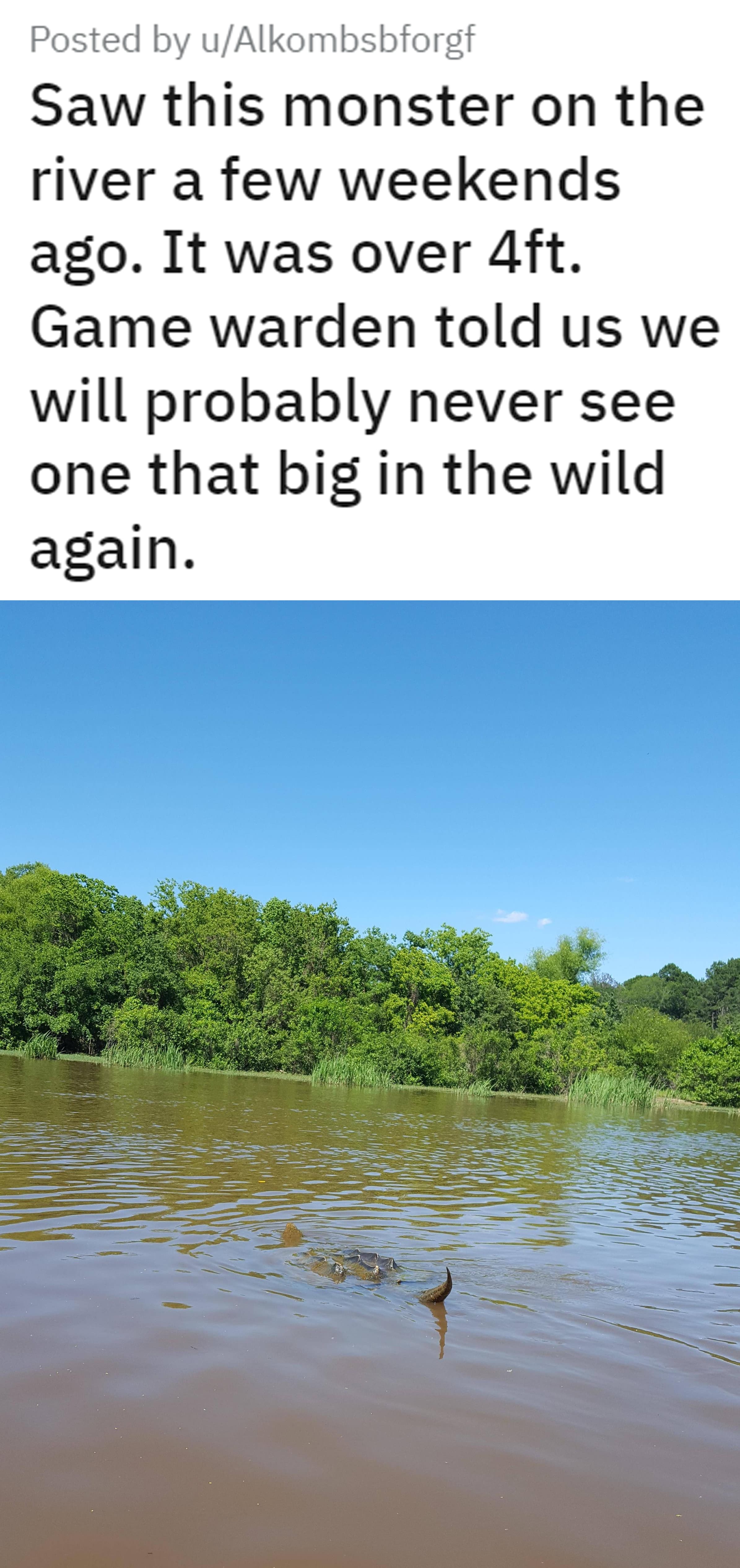 20 Weirdly Unsettling Images That Made It Hard To Sleep At Night