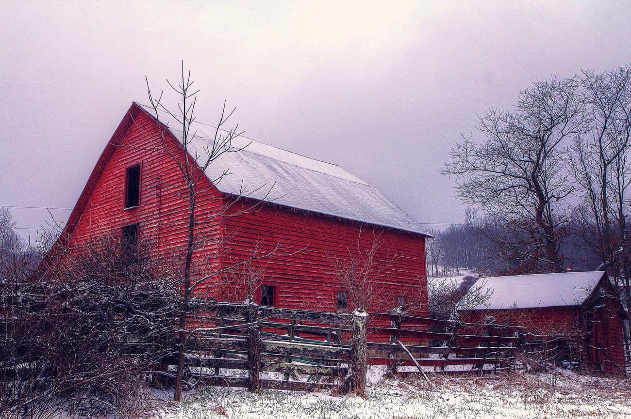Barns Are Red Because The Color Helped Keep Animals Warmer In The Winter
