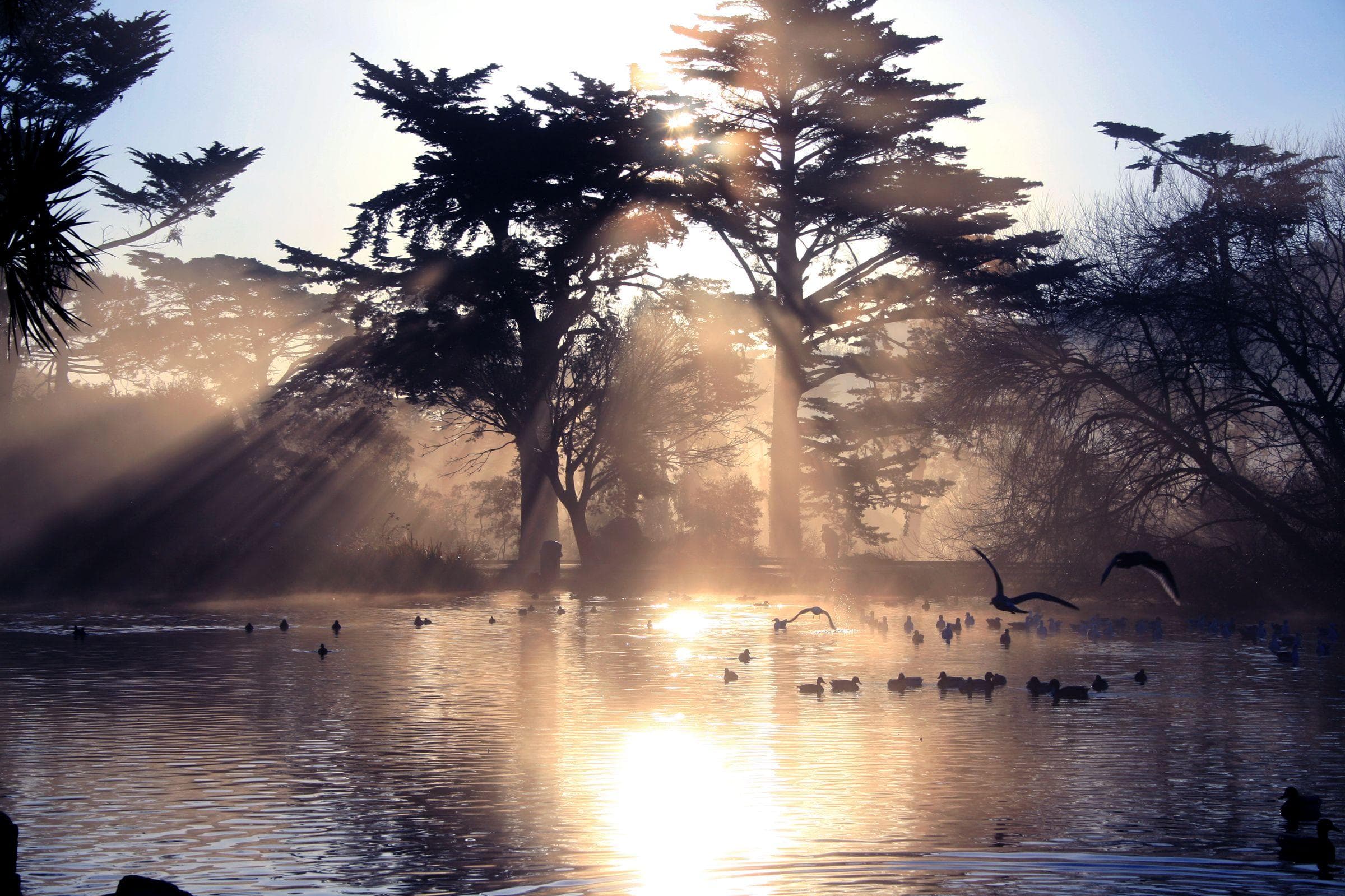 Stow Lake in California