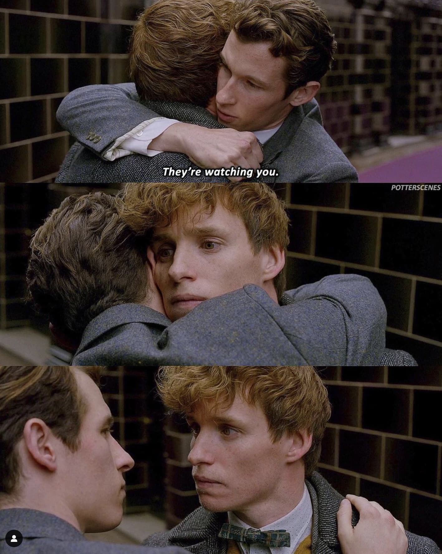 22 ‘Fantastic Beasts’ Scenes That Prove Newt Scamander Is The Most Entertaining And Wholesome Wizard