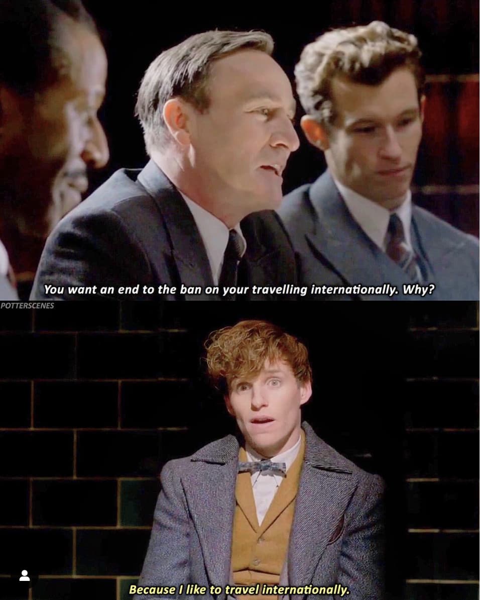 22 ‘Fantastic Beasts’ Scenes That Prove Newt Scamander Is The Most Entertaining And Wholesome Wizard