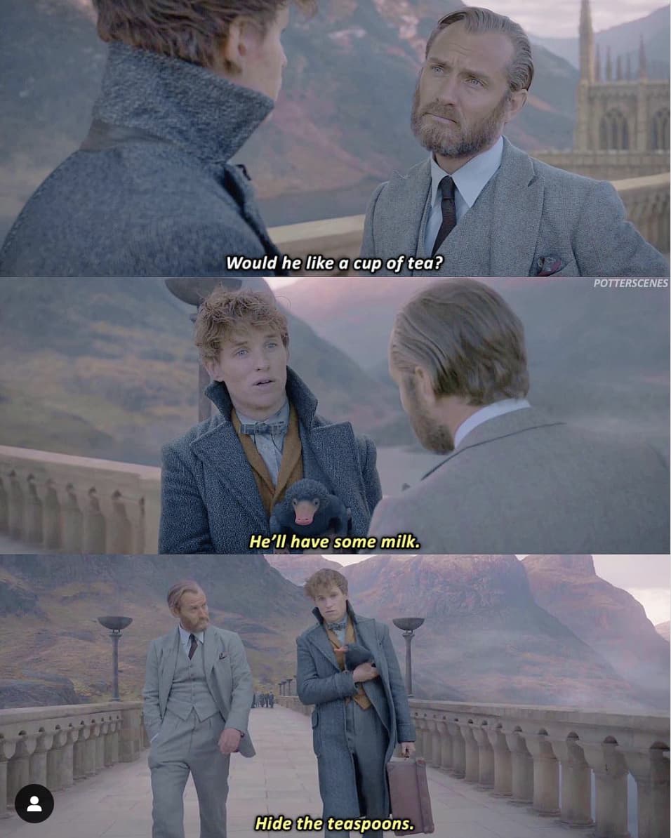 22 ‘Fantastic Beasts’ Scenes That Prove Newt Scamander Is The Most Entertaining And Wholesome Wizard