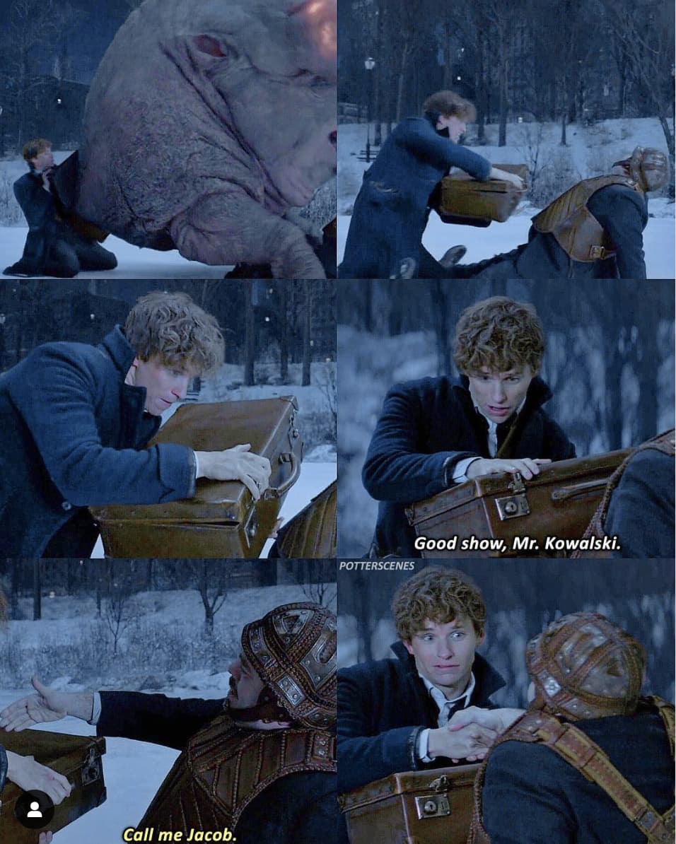 22 ‘Fantastic Beasts’ Scenes That Prove Newt Scamander Is The Most Entertaining And Wholesome Wizard