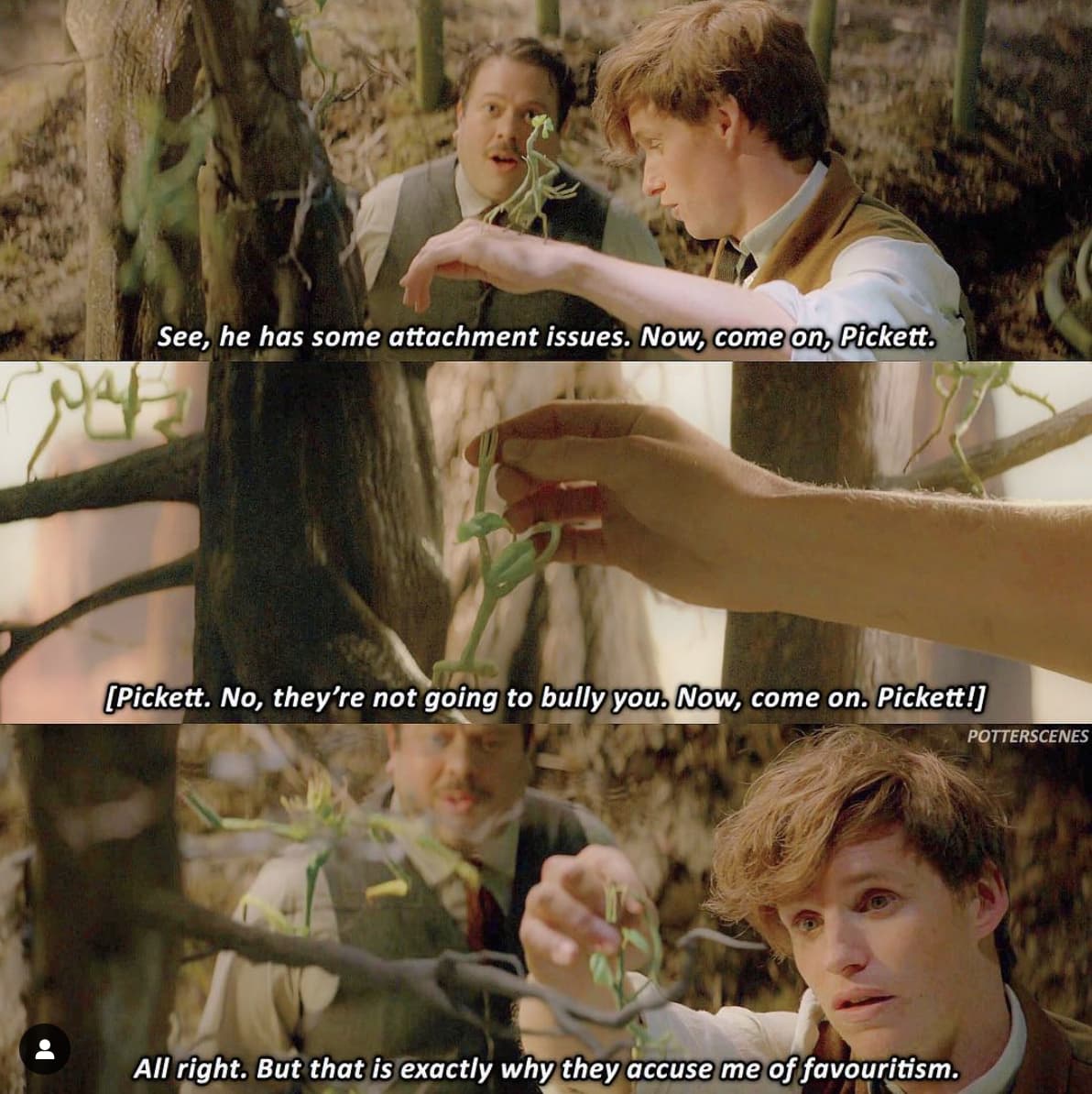 22 ‘Fantastic Beasts’ Scenes That Prove Newt Scamander Is The Most Entertaining And Wholesome Wizard