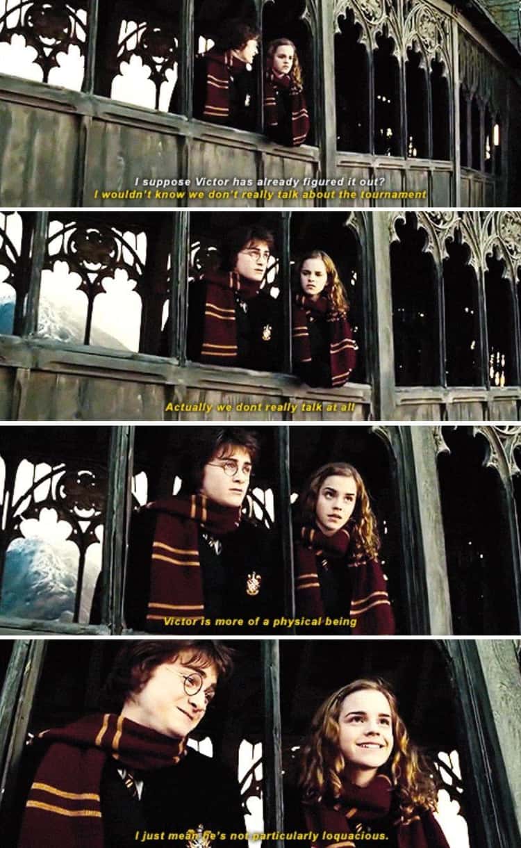 Hermione Doesn't Think Of The Insinuation Of Her Words