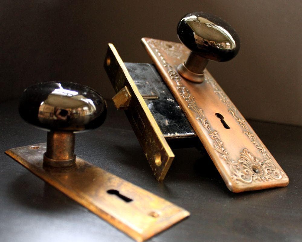 Weird Trivia Facts That Are Totally True