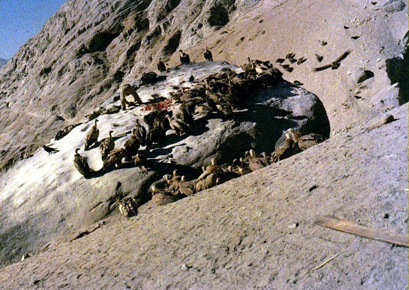 Tibetan Sky Burials Are Simply 'Part Of Life's Cycle'