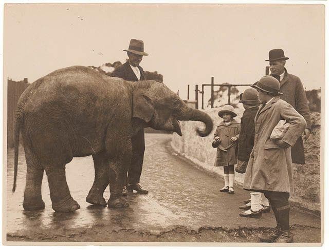 Strange Facts About Zoos