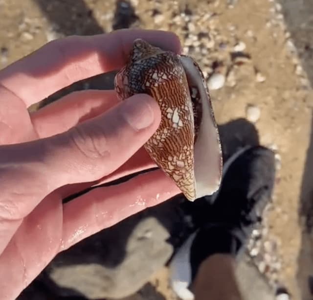 Today I Squirmed Creepy, Disturbing, And Freaky Facts That Can Ruin A Day