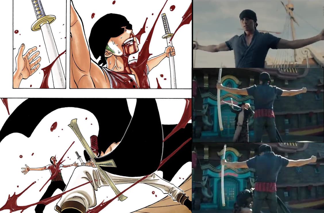 Zoro Loses To Mihawk