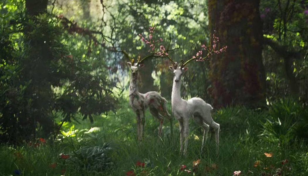 There Are Numerous Reflections In 'Annihilation'