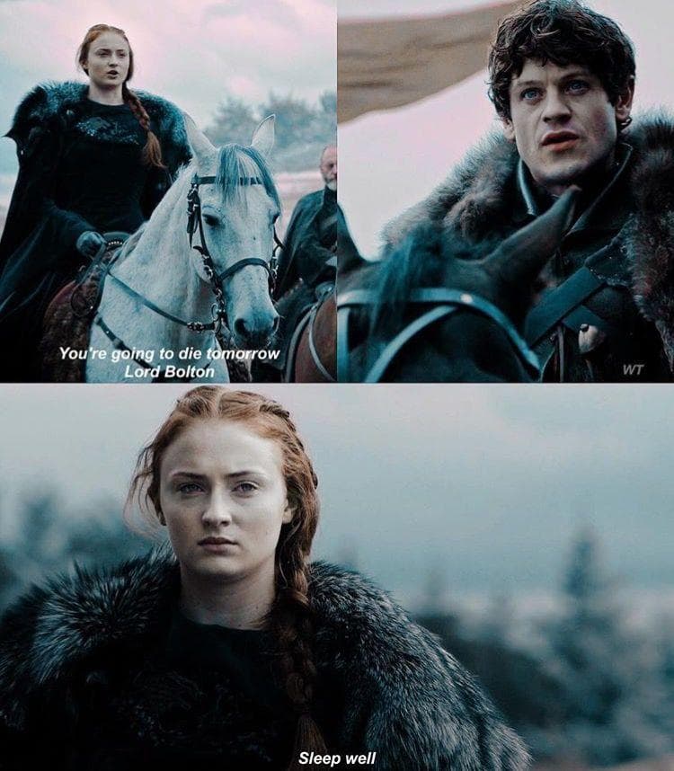19 Sansa Stark Moments That Gently Remind People Why She Survived The