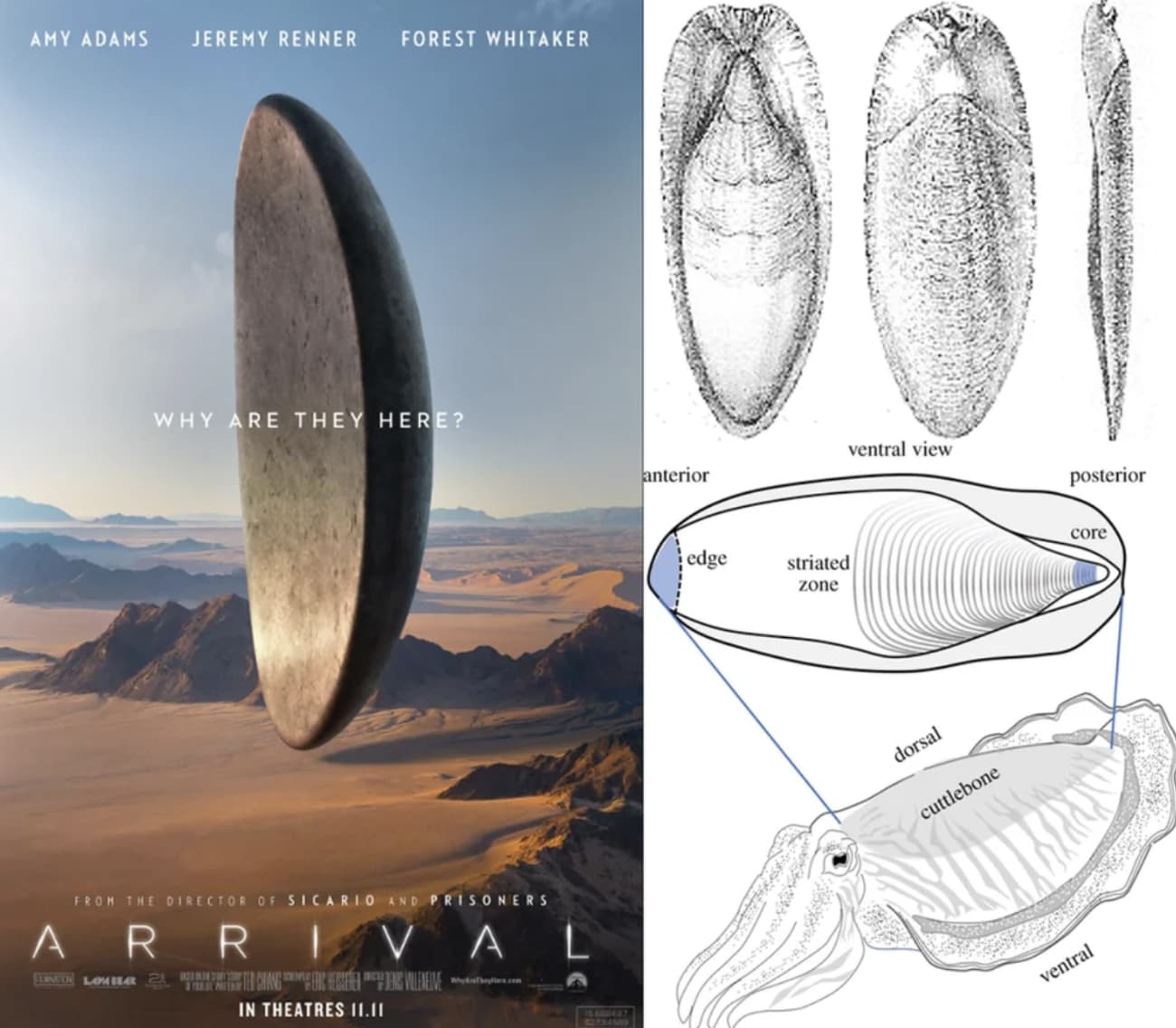 Scientific Movie Details Only An Expert Would Catch