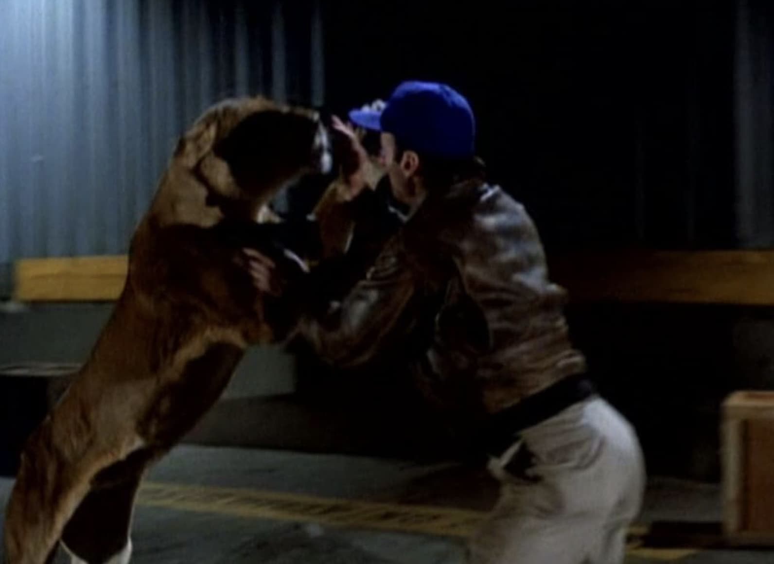 13 Forgotten TV Shows Nobody Remembers, Ranked By Fans