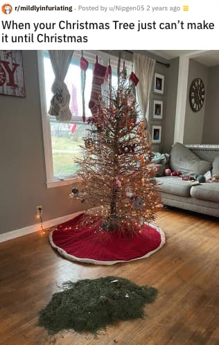 19 Infuriating Christmas Tree Fails That Are Straight Up Annoying
