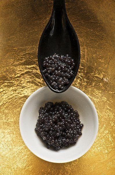 Wild Beluga Caviar
