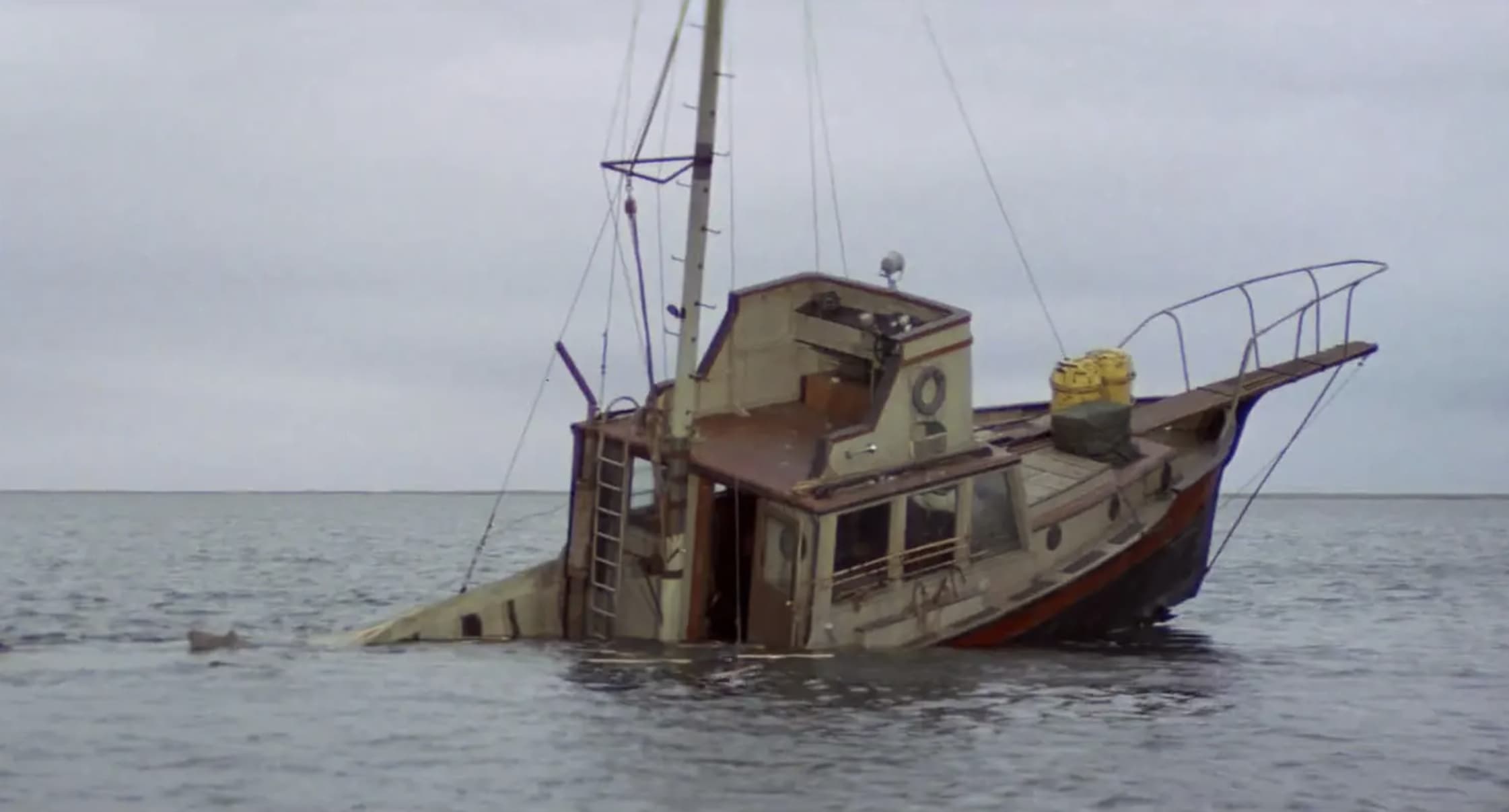 13 Behind-The-Scenes Stories From 'Jaws,' Ranked By Fans