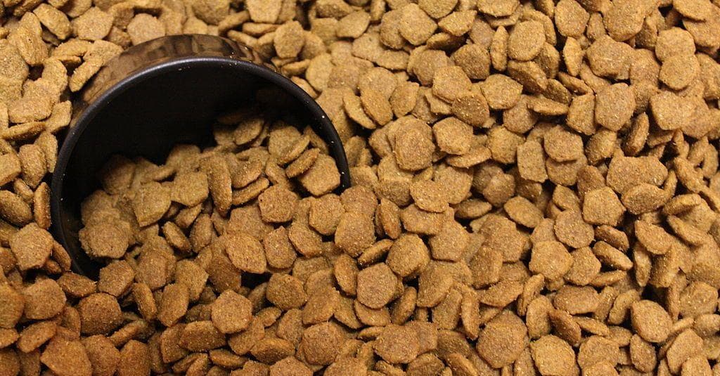 The 16 Weirdest Jobs Around The World, Ranked