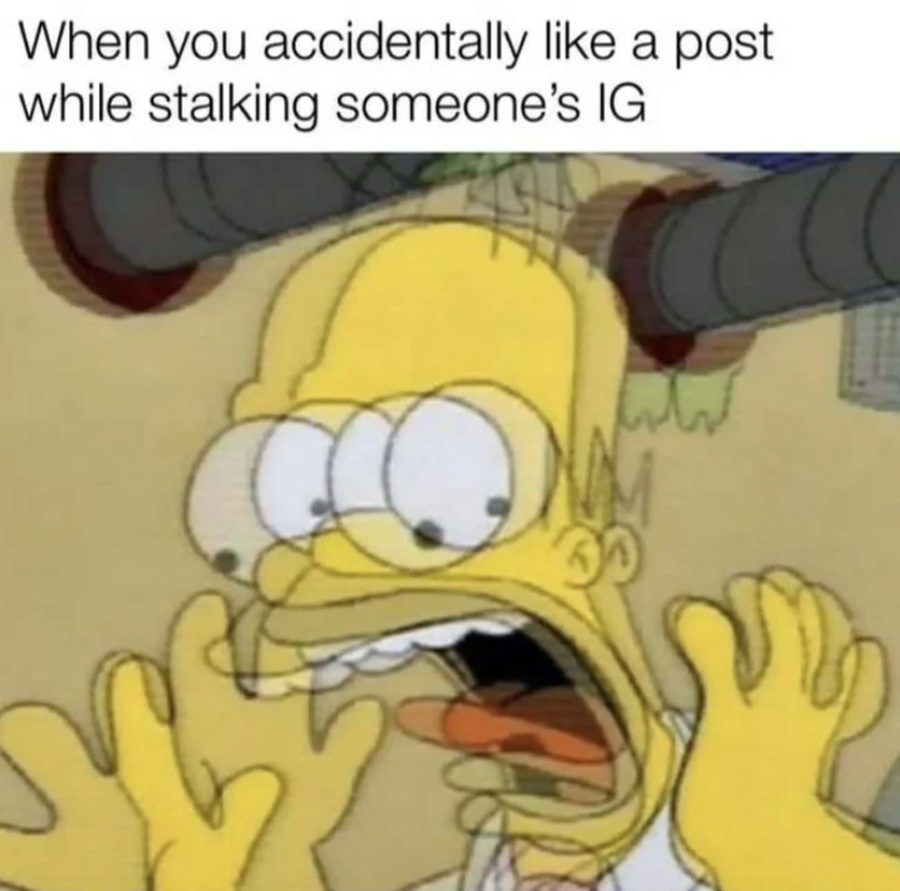 Homer Should Not Be On Instagram