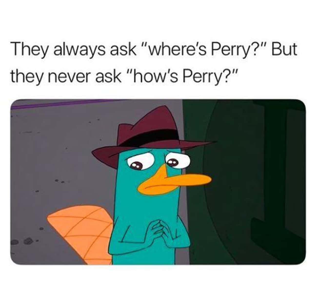 What About 'Why Perry?'