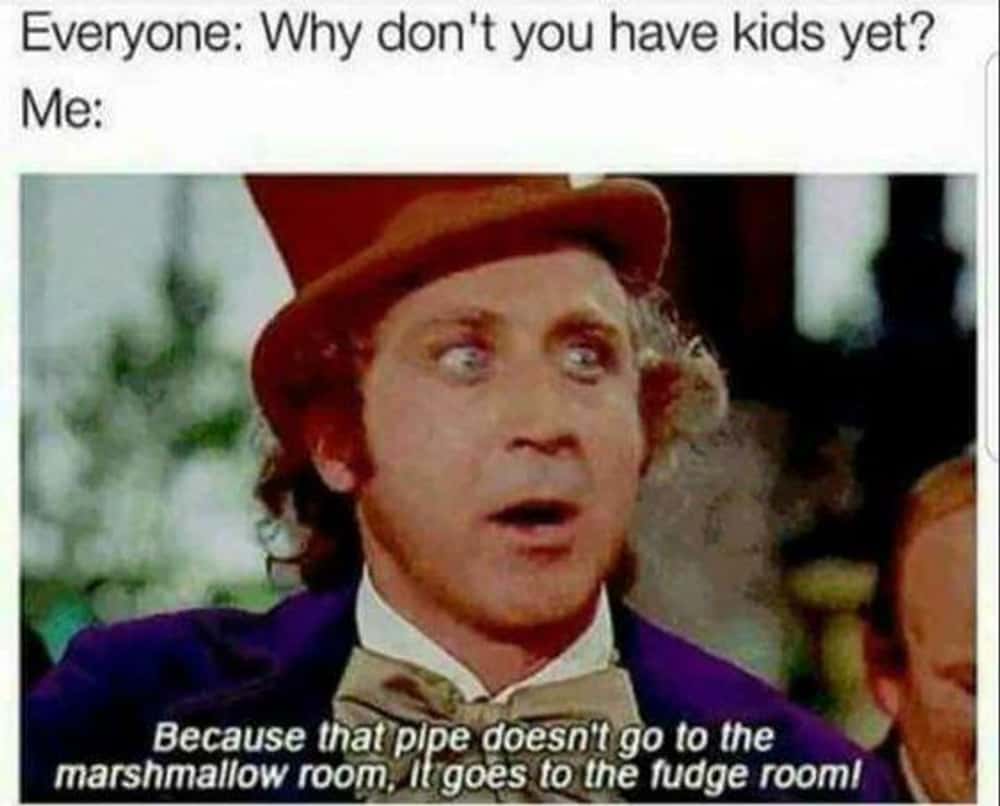 Willy Wonka Doesnât Want Kids