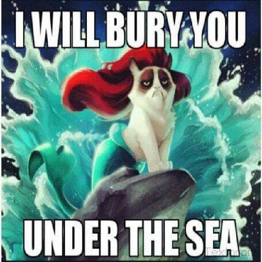 The 15 Funniest 'Little Mermaid' Memes, Ranked